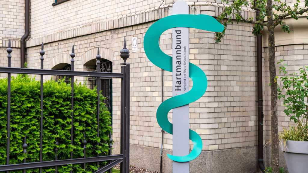 Hartmannbund: Asociación Médica Alemana en el punto de mira de RansomHub
