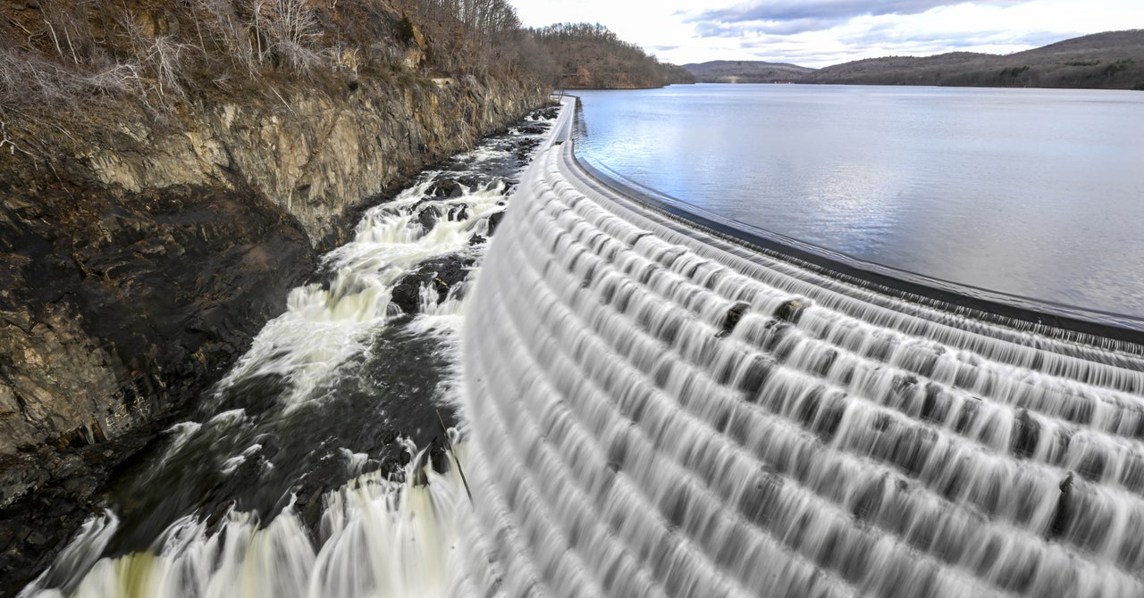 Las especies invasoras están amenazando la calidad del agua del grifo de Nueva York