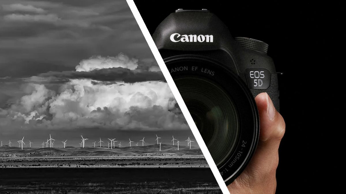 Realmente no necesitas una cámara nueva: acaban de ganar un premio fotográfico de 200 000 dólares con esta antigua DSLR de Canon
