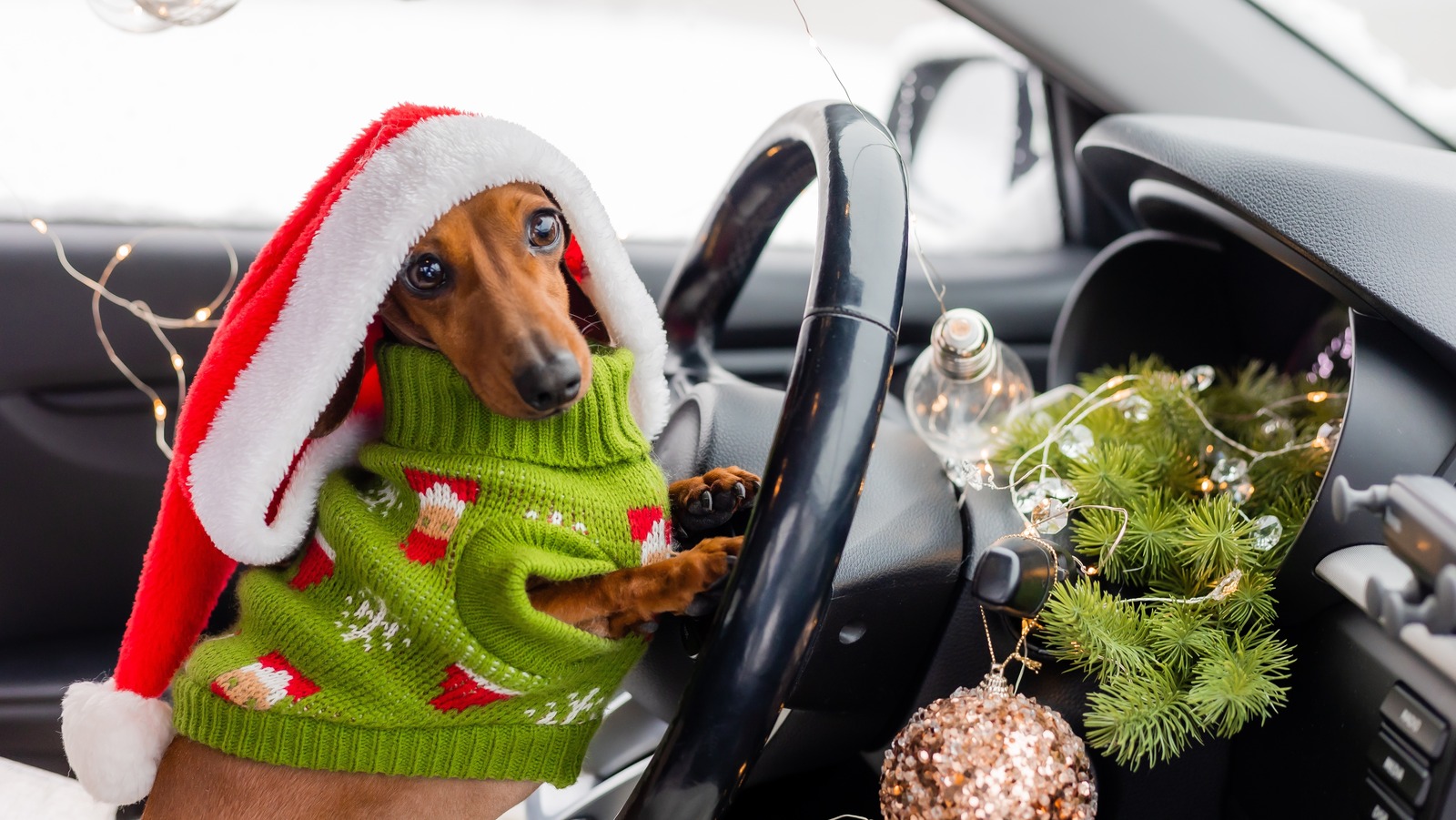 Difunda alegría navideña con estas decoraciones navideñas para automóviles este año