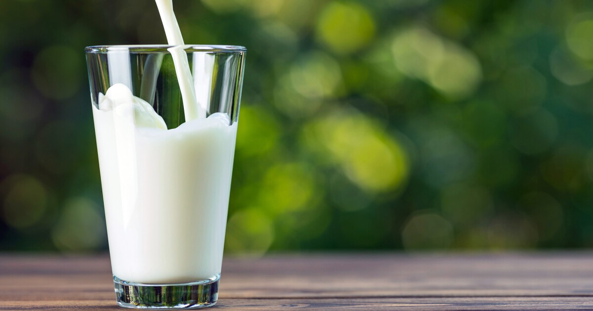Las vibraciones del teléfono detectan la leche en mal estado, sin abrir el cartón