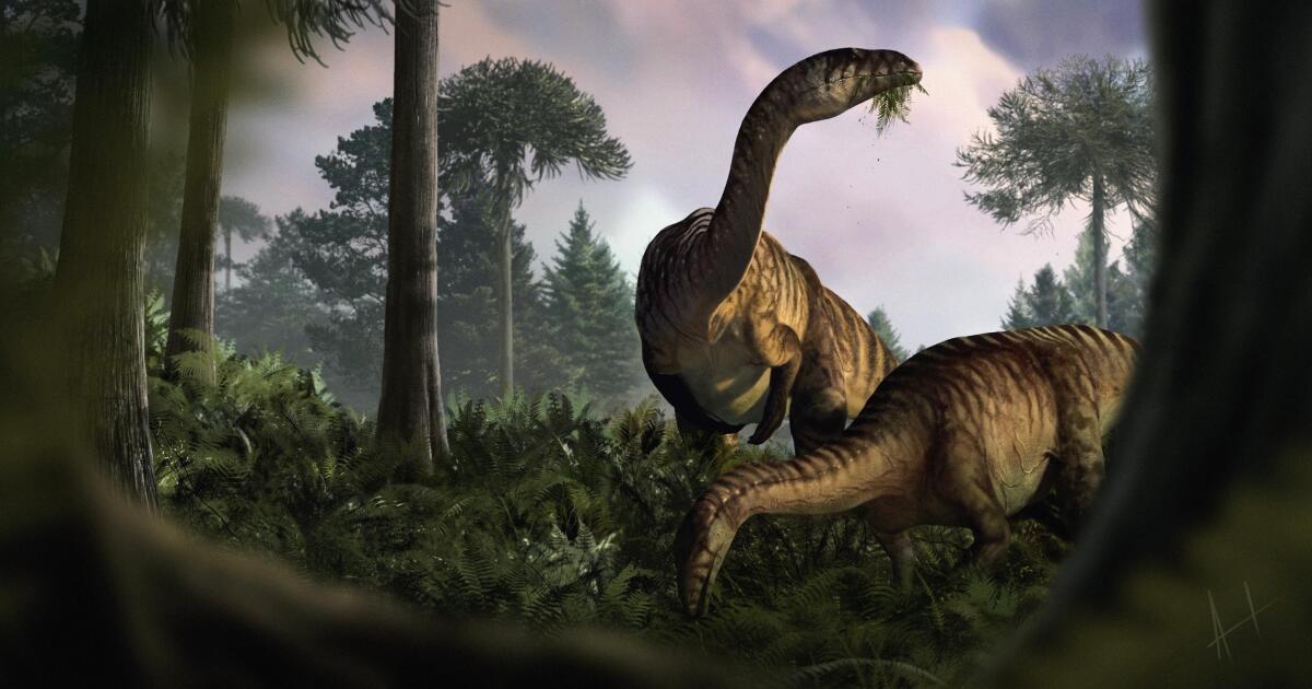 Enormes estudios de vómitos y heces fósiles registran el surgimiento de los dinosaurios
