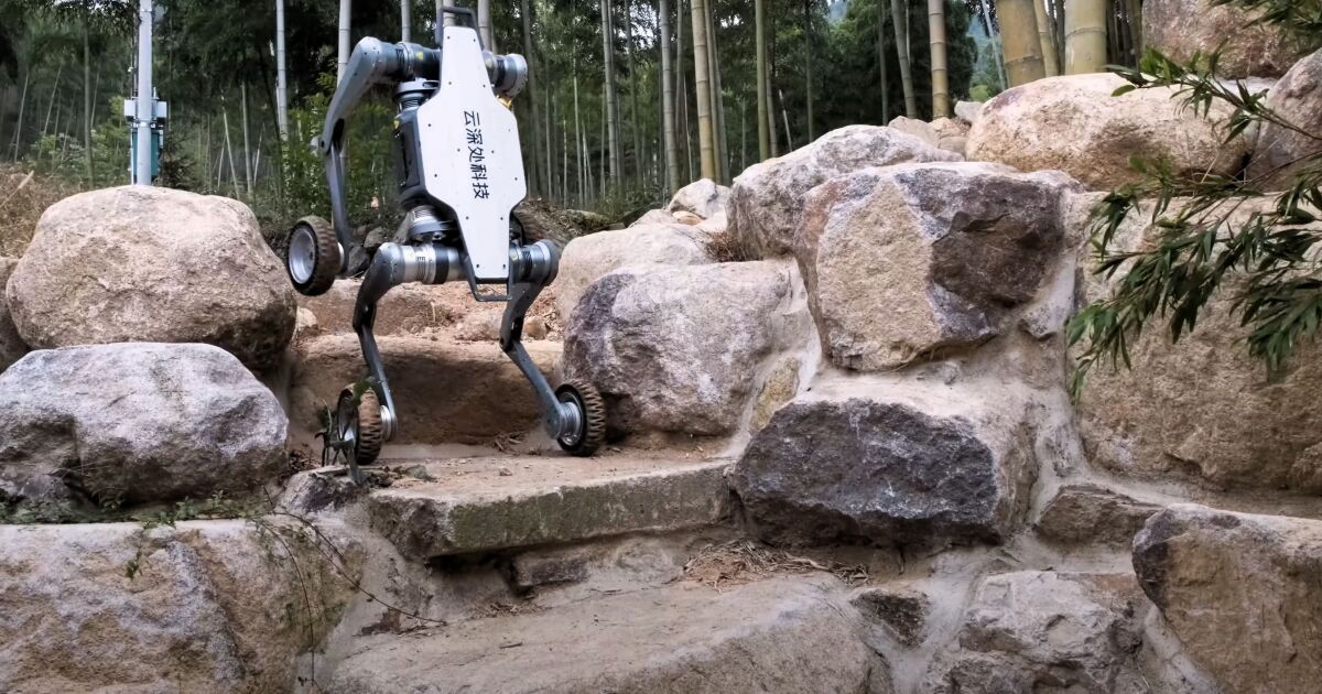 El perro robot con ruedas se vuelve todo terreno con un estilo impresionante