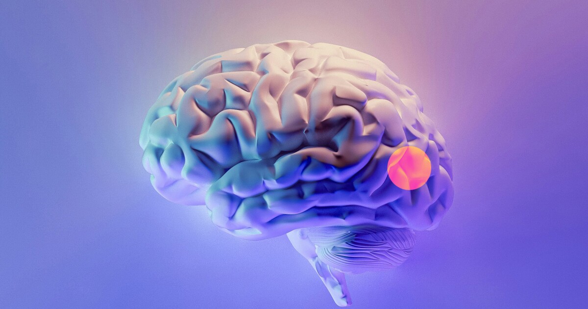 Un modelo de IA identifica tumores cerebrales pasados ​​por alto en sólo 10 segundos