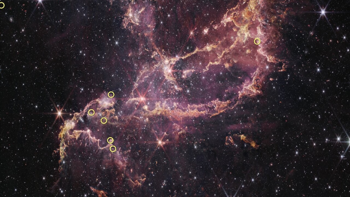 El telescopio Webb confirma que los discos de formación de planetas duran más en el universo temprano