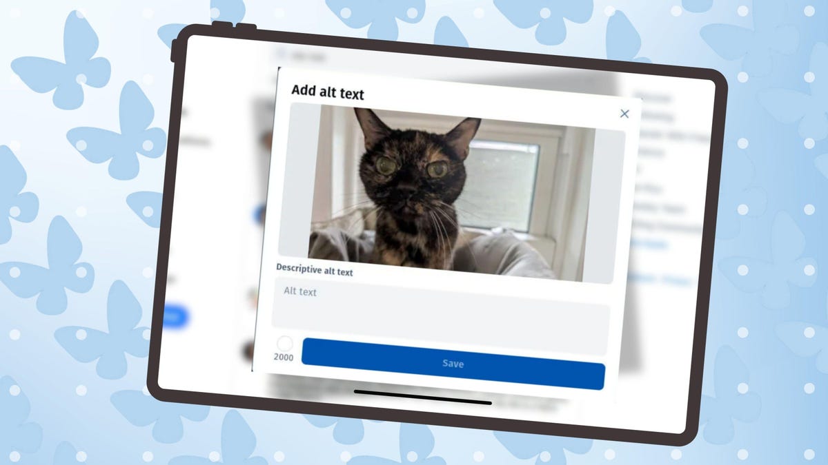 Cómo agregar texto alternativo a imágenes en Bluesky (y por qué debería hacerlo)