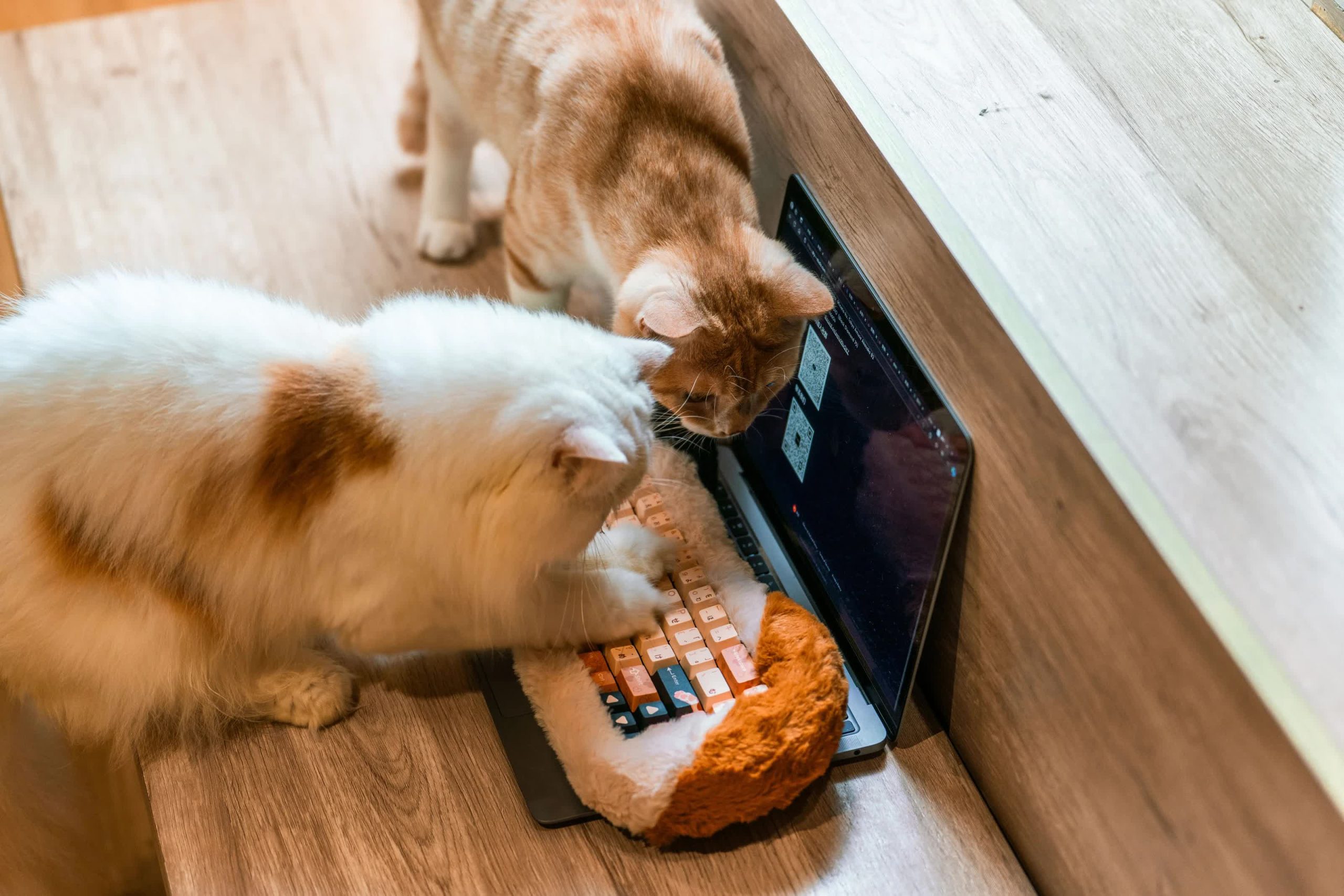 La obsesión por los gatos en Internet genera el primer teclado mecánico esponjoso del mundo