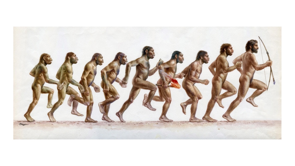 La velocidad de carrera limitada del Australopithecus Afarensis revelada en un estudio de simulación 3D