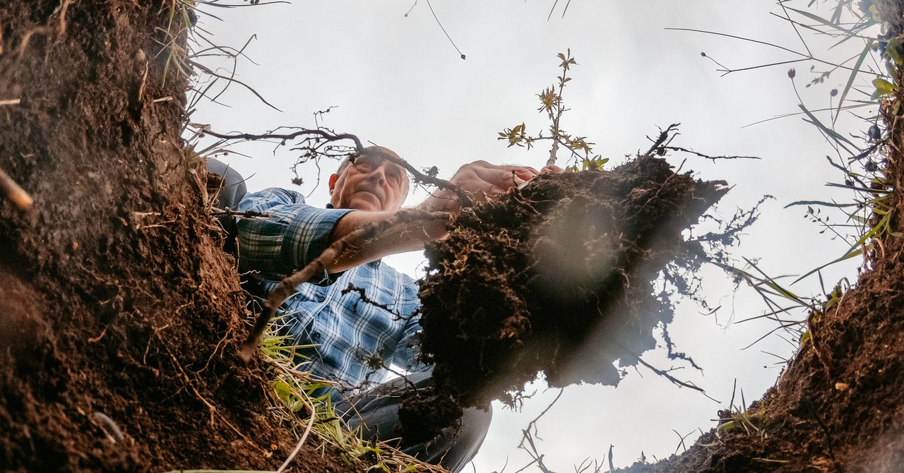 Para mejorar su microbioma intestinal, pase más tiempo en la naturaleza