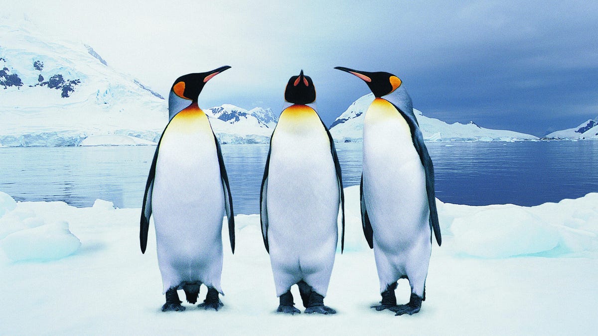 Las 3 distribuciones de Linux más parecidas a Windows que puedes probar porque el cambio es difícil