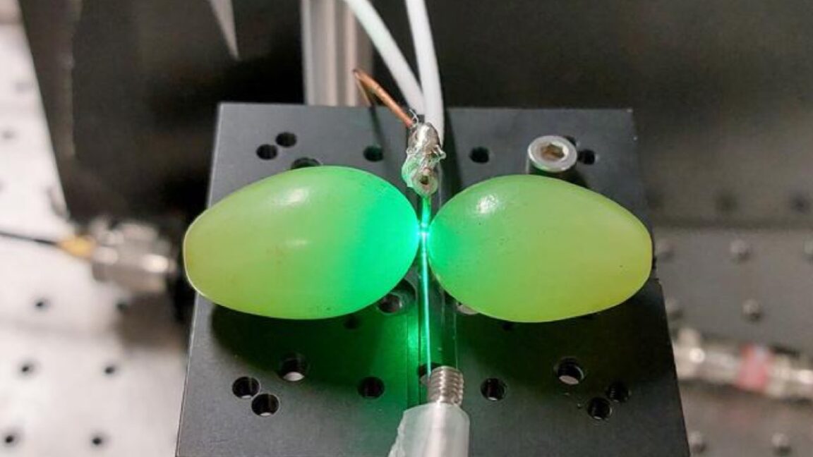 ¿Podrían usarse uvas sometidas a microondas para la detección cuántica?