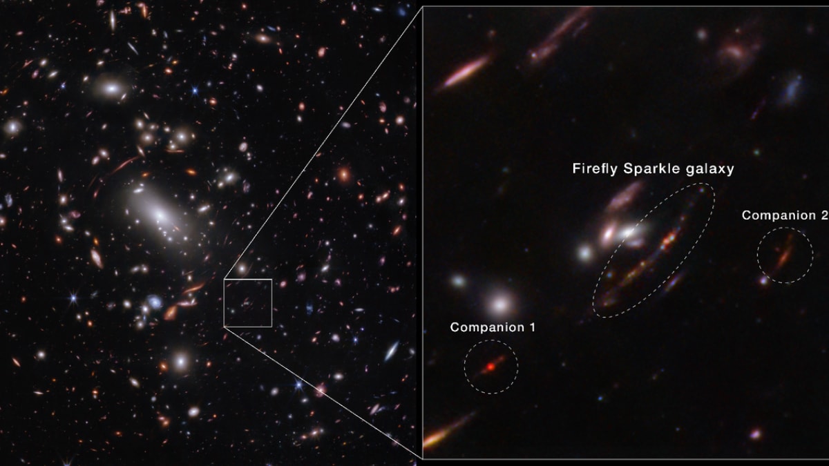 El telescopio Webb de la NASA revela Firefly Sparkle, una galaxia similar a la Vía Láctea
