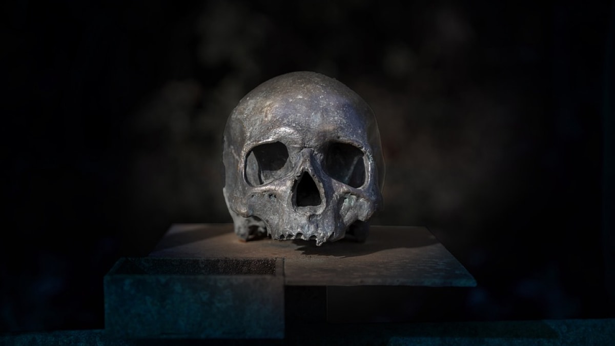 Antiguos restos humanos revelan una brutal masacre de hace 4.000 años en Somerset