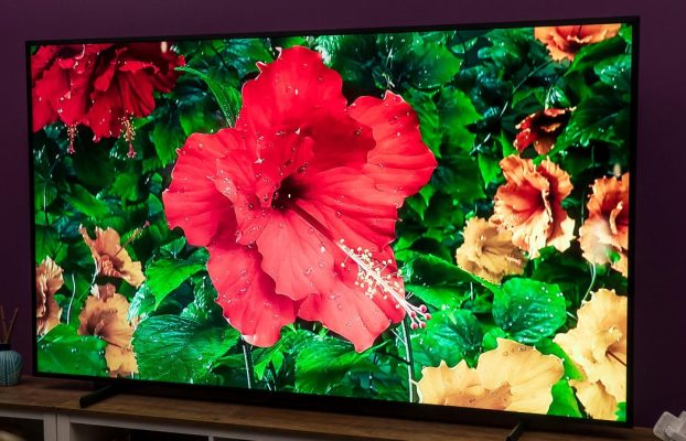 Este Sony Bravia es mi elección como mejor televisor por su precio, y las 5 opciones de tamaño están a la venta