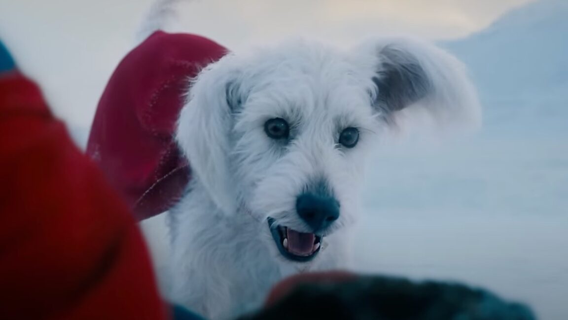Krypto se roba el show en el teaser de Superman