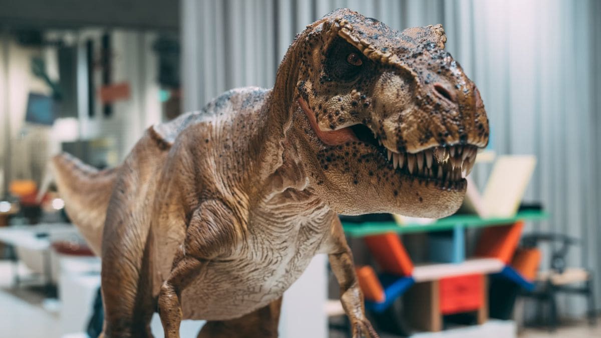 Fósiles de dinosaurios con cuernos gigantes redescubiertos en Egipto, tesoros perdidos de la Segunda Guerra Mundial