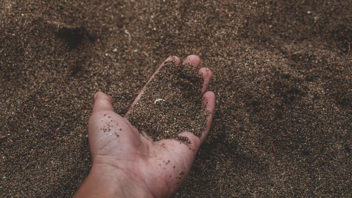 Un nuevo método de medición del carbono del suelo podría aumentar la confianza en los mercados de créditos de carbono