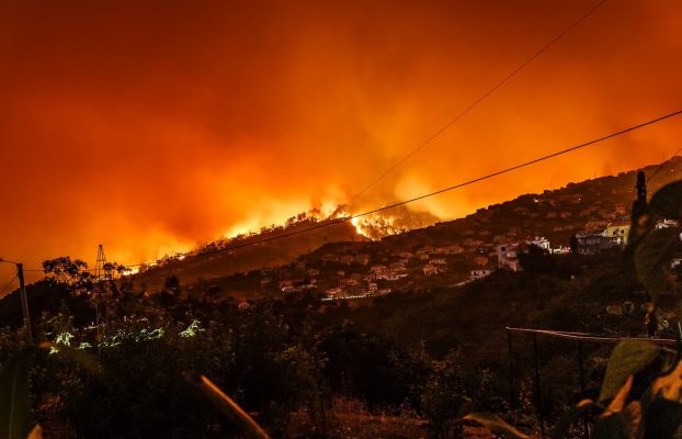 2024 fue el año más caluroso jamás registrado, superando el umbral crítico de 1,5°C