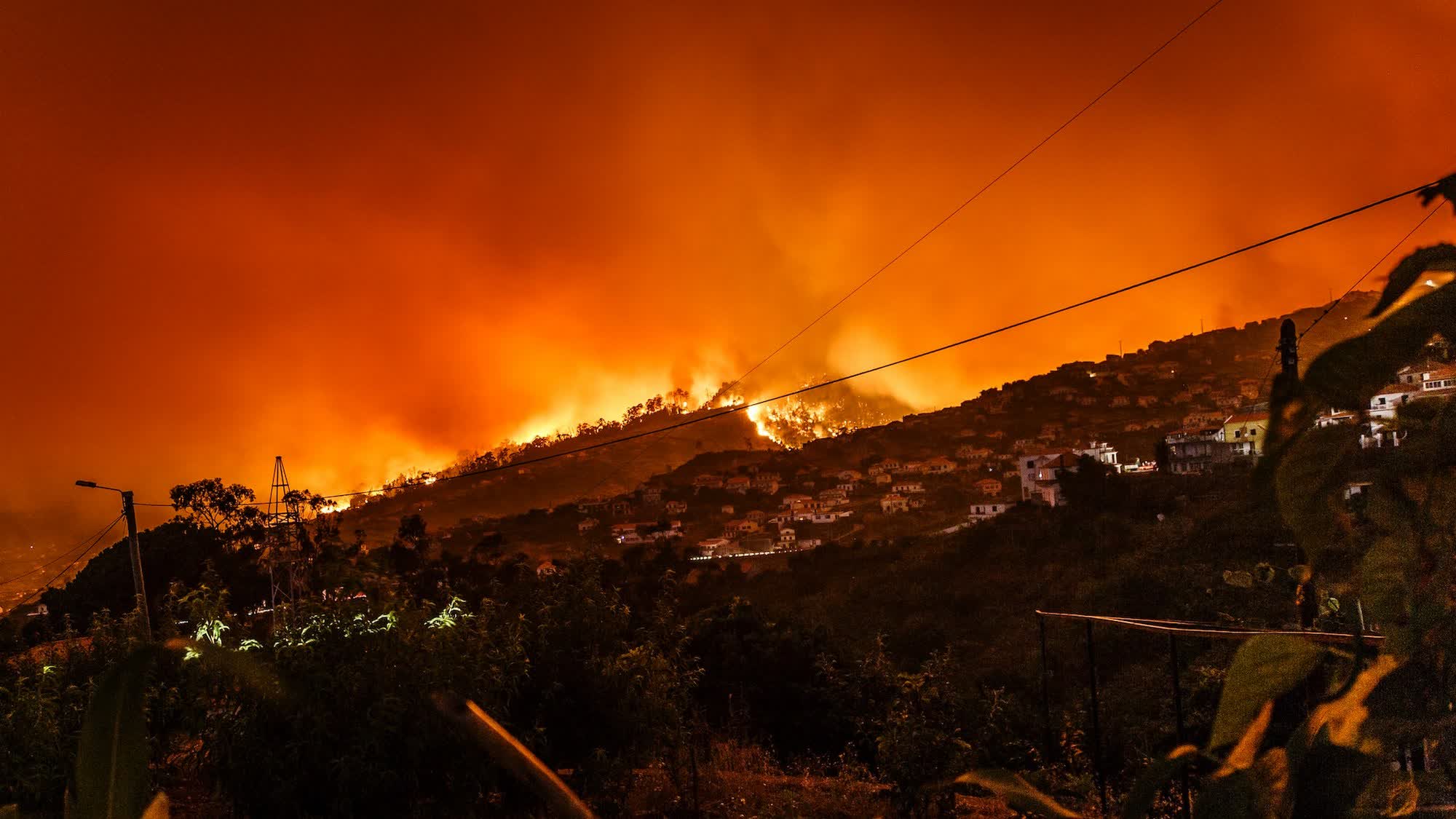 2024 fue el año más caluroso jamás registrado, superando el umbral crítico de 1,5°C