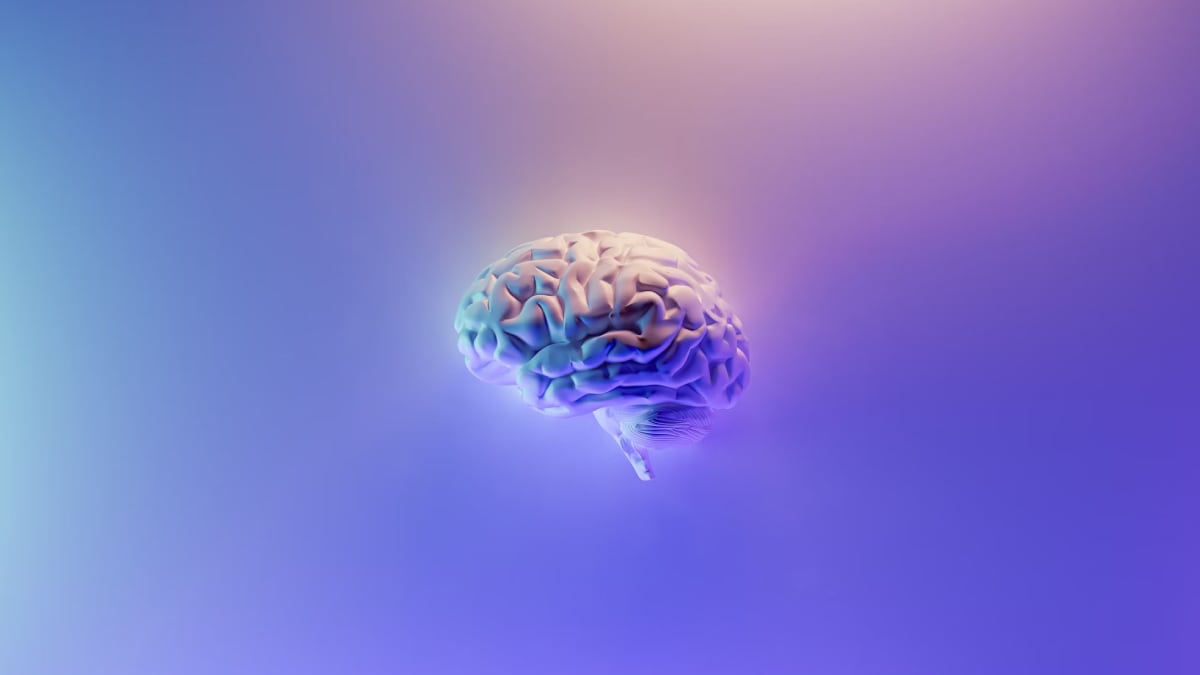 ¿Podremos algún día recuperar recuerdos del cerebro de una persona muerta? Los neurocientíficos opinan