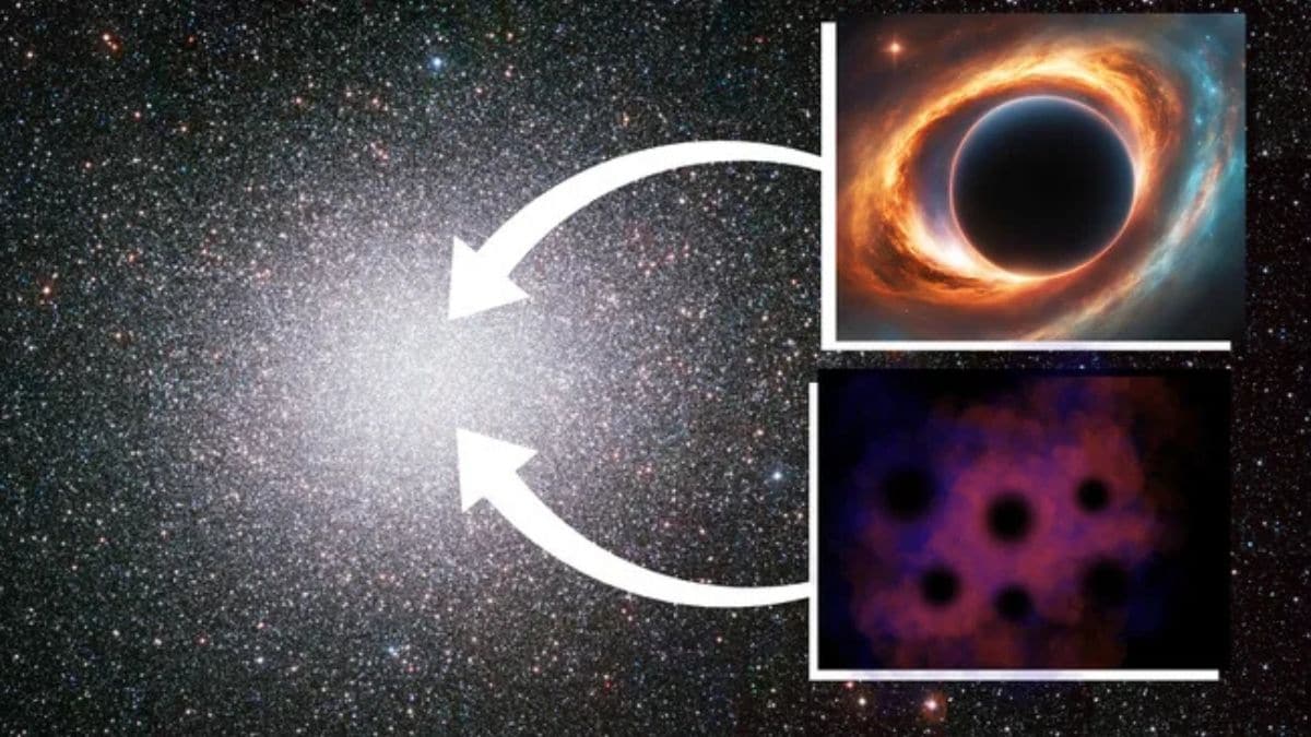 La búsqueda de los esquivos agujeros negros del eslabón perdido continúa mientras la observación de Omega Centauri resulta ser un fracaso