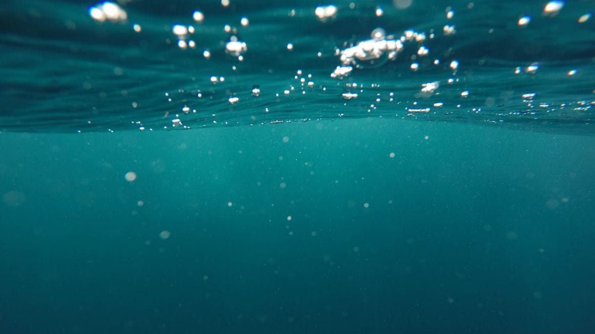 Un nuevo estudio descubre procesos oceánicos vitales para el almacenamiento de carbono y la regulación del clima