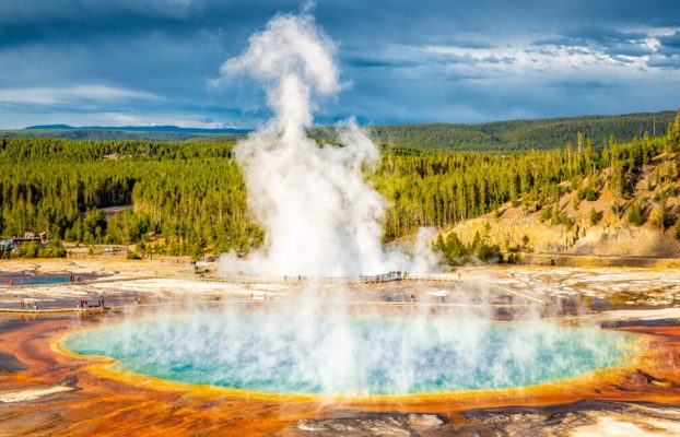 Una cosa menos de qué preocuparse en 2025: Yellowstone probablemente no experimentará un boom