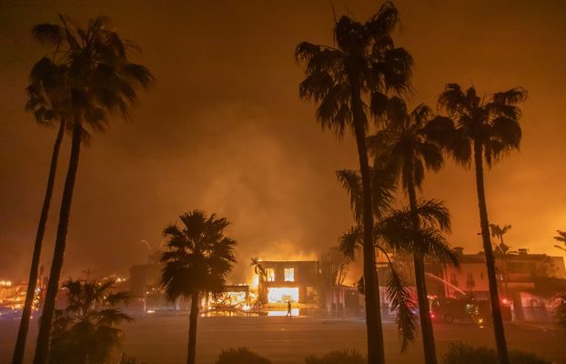 Todos los teléfonos inteligentes en Los Ángeles recibieron accidentalmente una alerta de evacuación por incendio forestal