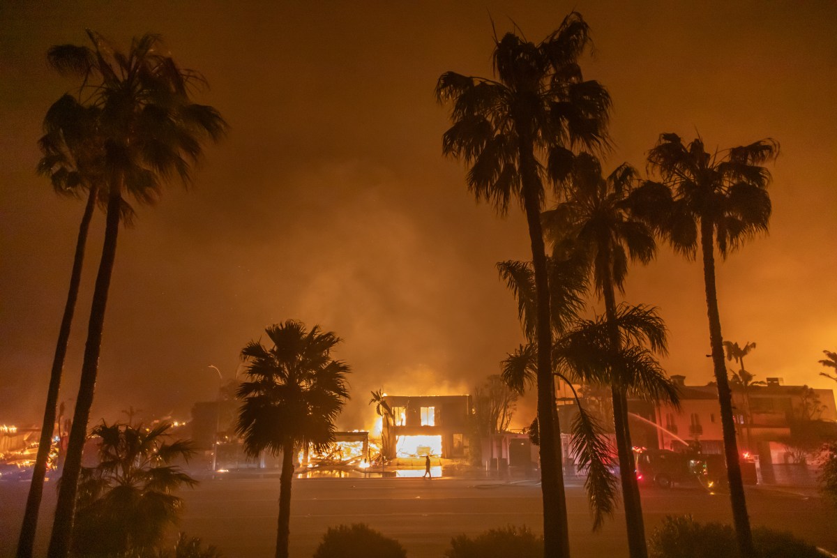 Todos los teléfonos inteligentes en Los Ángeles recibieron accidentalmente una alerta de evacuación por incendio forestal