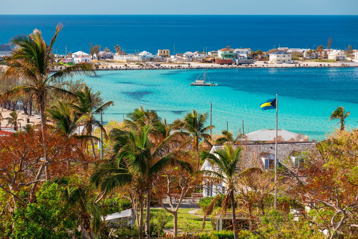 Autoridad fiscal suiza obligada a comprar Nombre de dominio de Bahamas después de URL Typo
