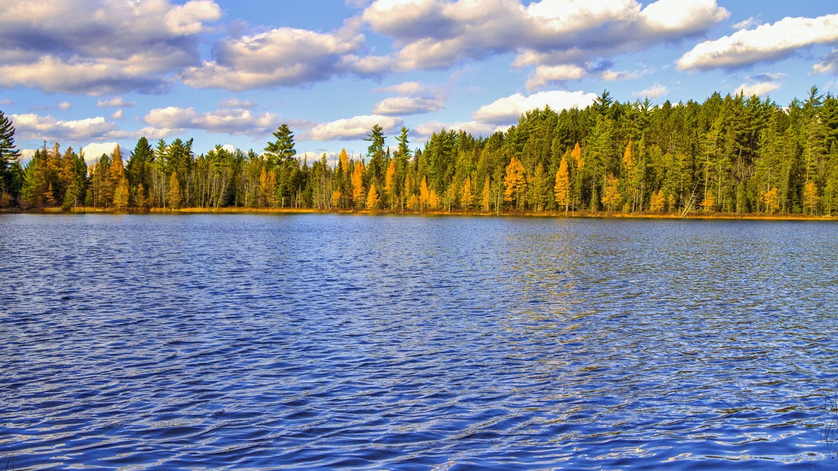 Los mejores proveedores de Internet en Roscommon, Michigan