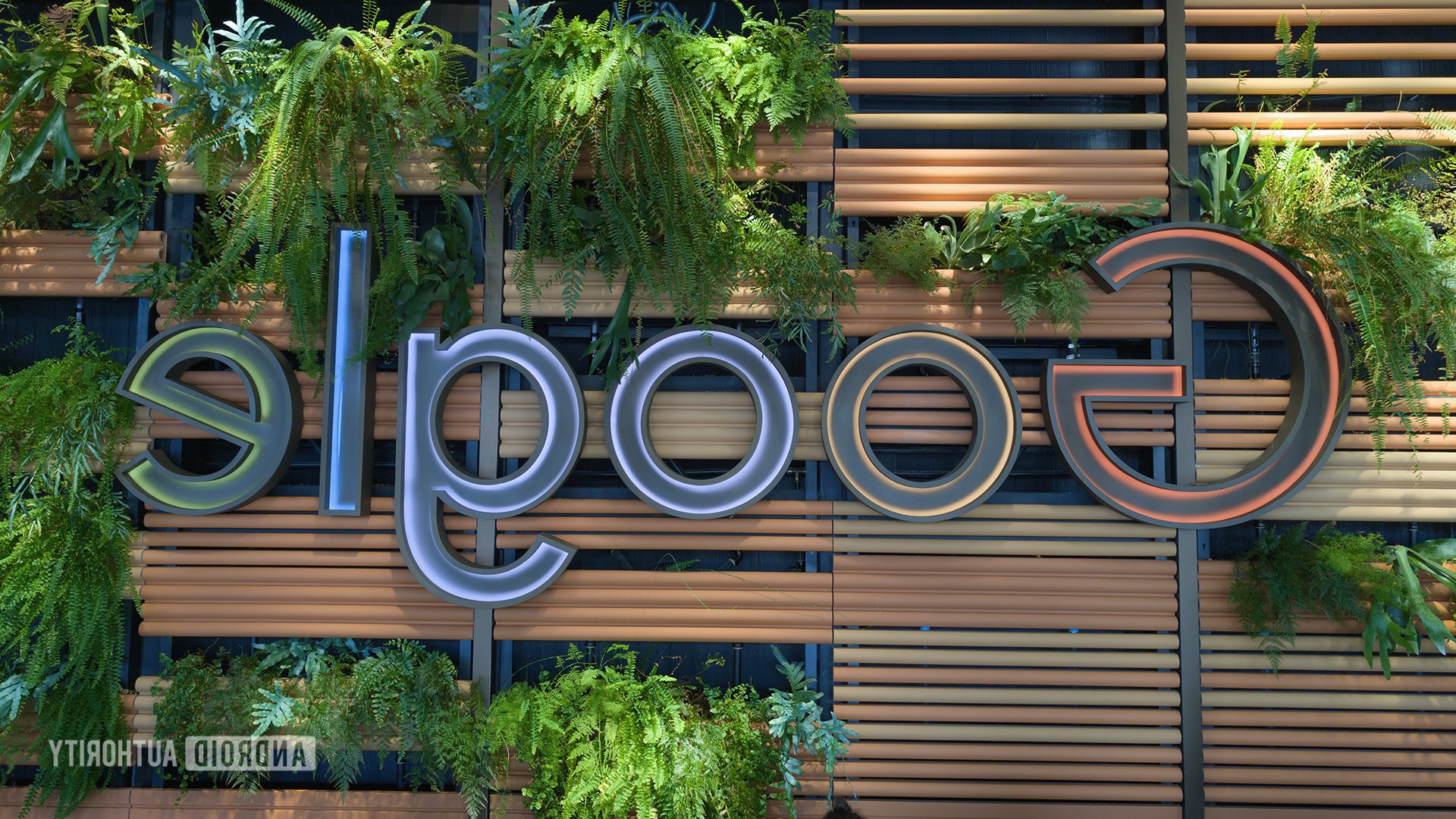 Google Photos anuncia el botón Flip para arreglar las fotos reflejadas