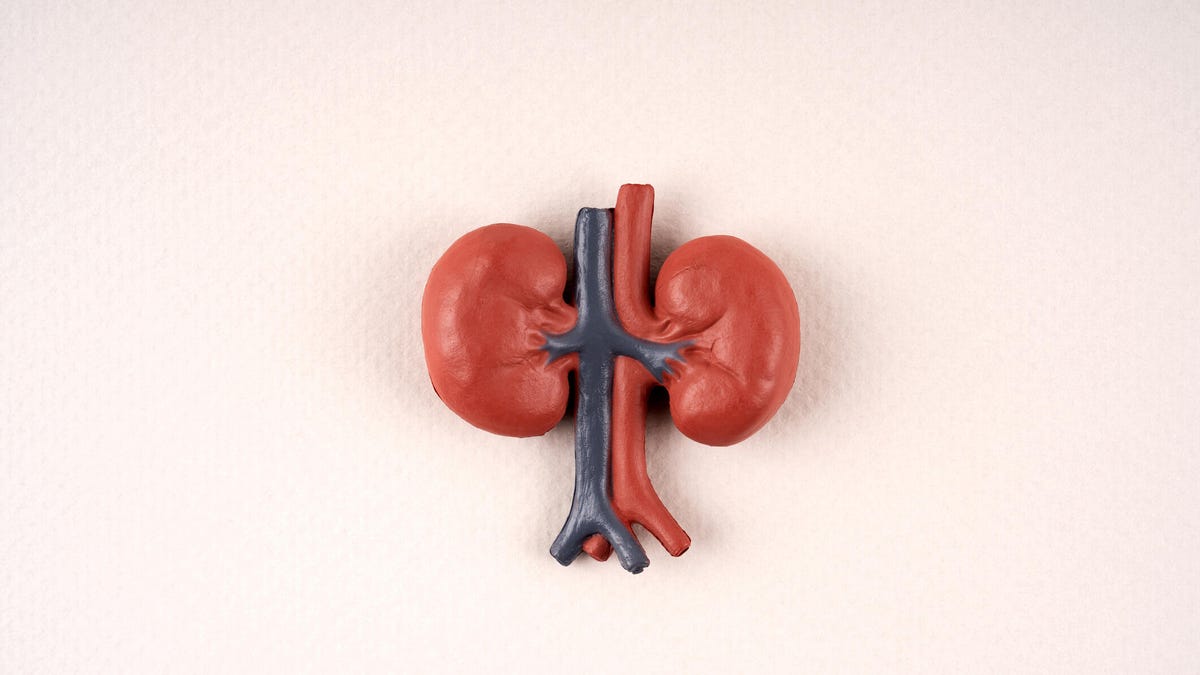 13 alimentos que mejorarán la salud de tus riñones