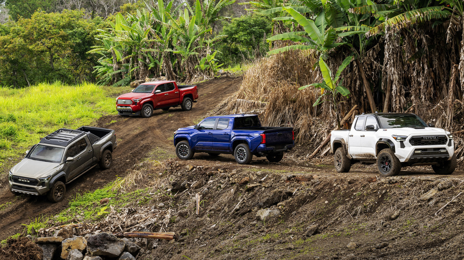 Cómo la Toyota Tacoma obtuvo su nombre