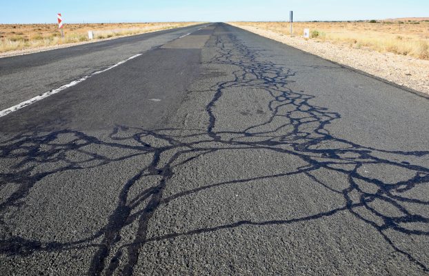 Las ‘líneas negras onduladas’ en el camino son serpientes de alquitrán