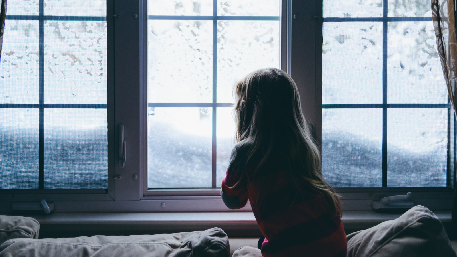 6 Gadgets de Amazon a considerar antes de la próxima tormenta de nieve