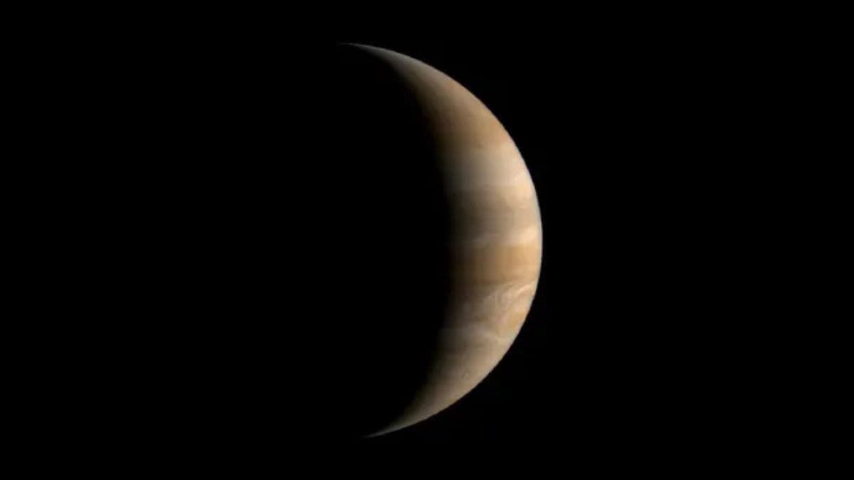 El misterioso objeto interestelar podría haber cambiado las rutas de cuatro planetas, el estudio encuentra