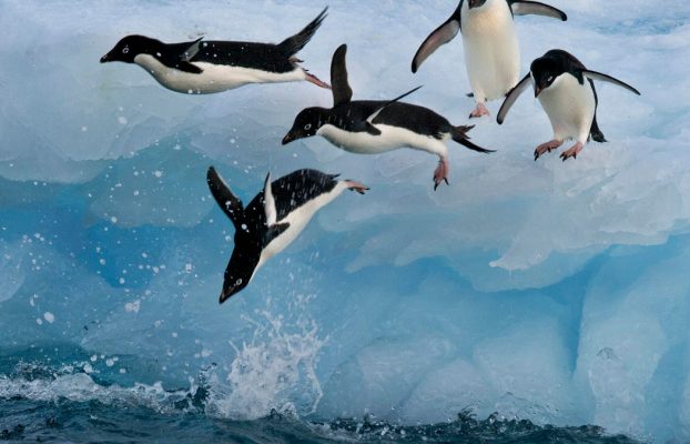 Los primeros 5 comandos de Linux que todo usuario debe aprender