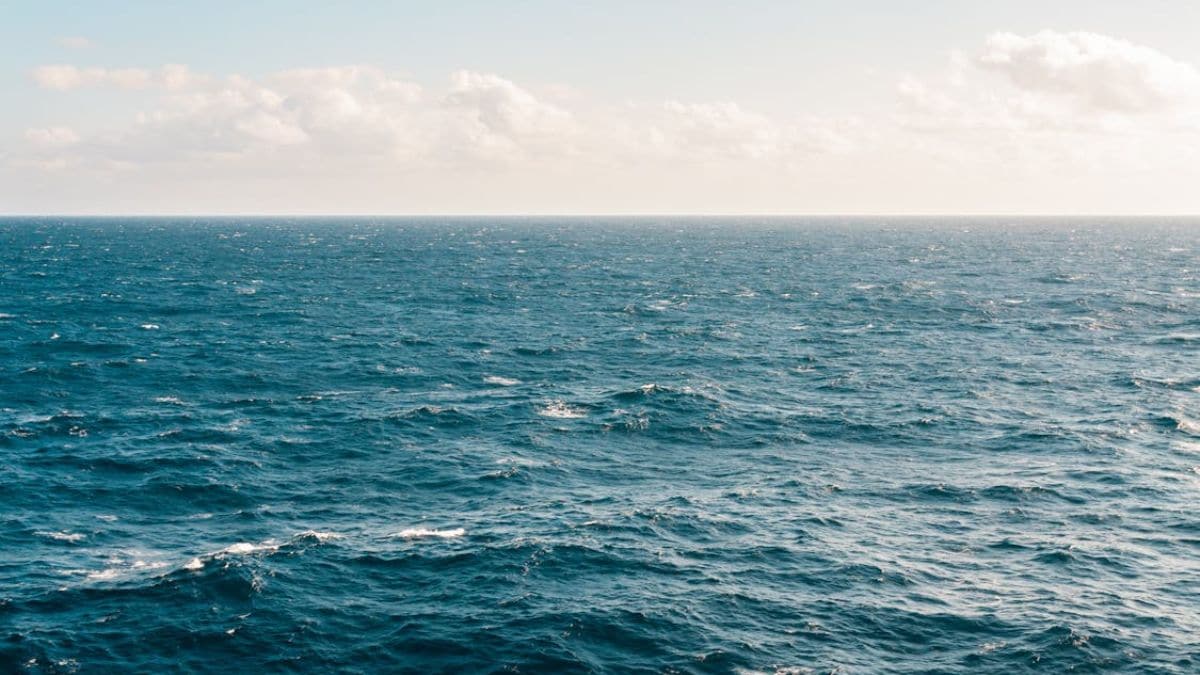 La tasa de calentamiento del océano cuadruplica durante cuatro décadas, acelerando el cambio climático