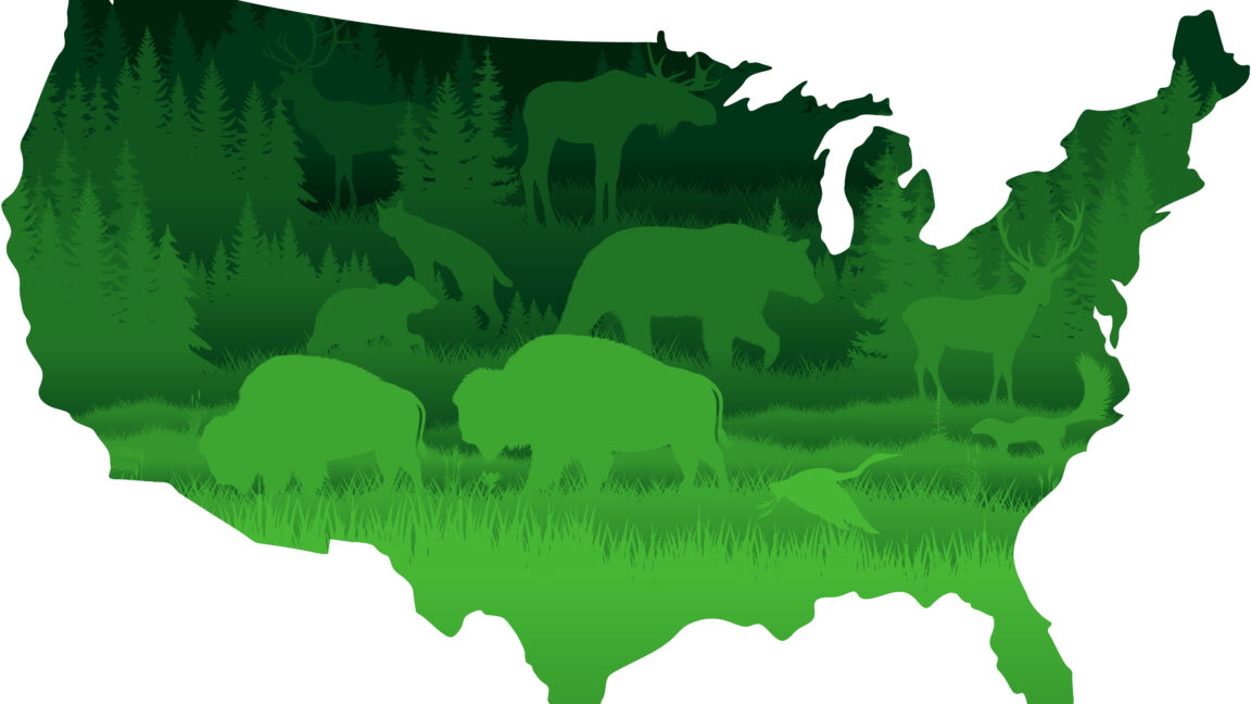 Después de que Trump mató un informe sobre la naturaleza, los investigadores avanzan con la liberación