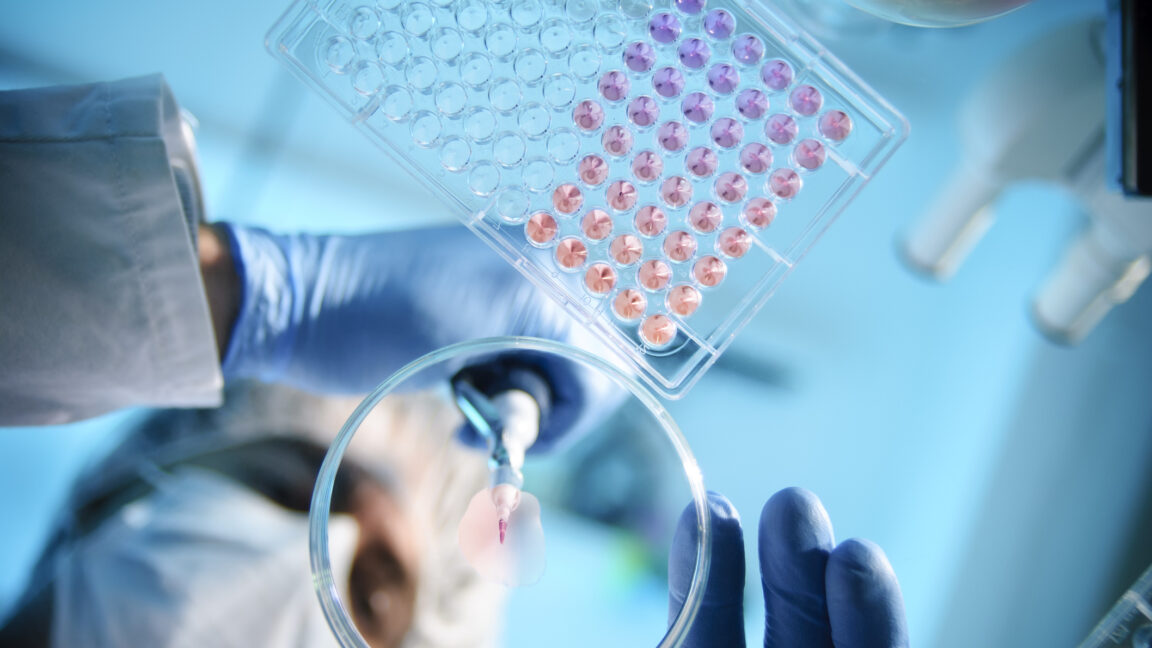 22 estados demandan para bloquear la nueva política de financiación de NIH: Court la pone en espera