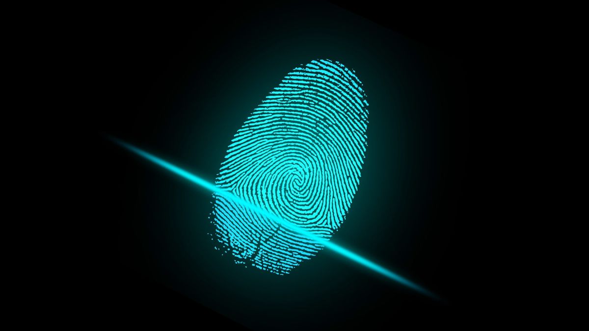 Ganancias sobre la privacidad? Google ofrece a los anunciantes más información personal en la giro de U ‘huellas digitales’