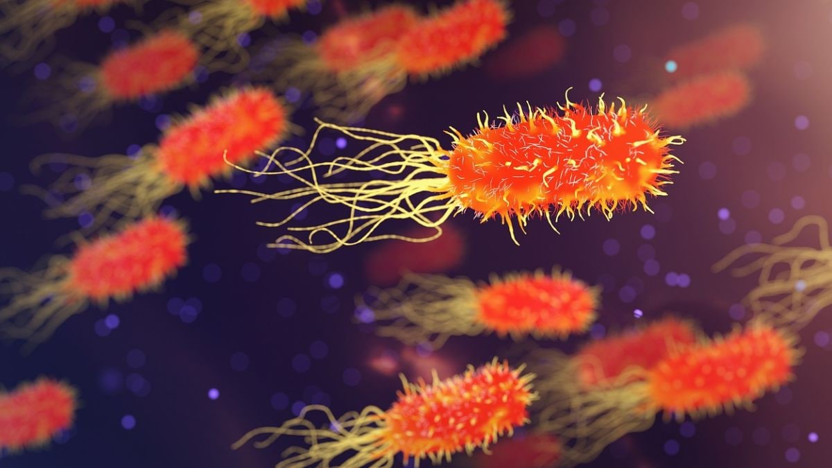 Los científicos encuentran bacterias de aguas residuales que descomponen el plástico PET, ayudando al control de la contaminación