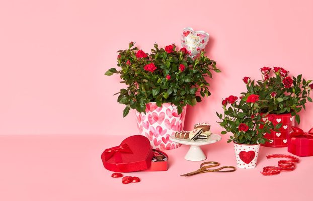 10 regalos únicos del día de San Valentín de 1-800 flores para todos los que aman