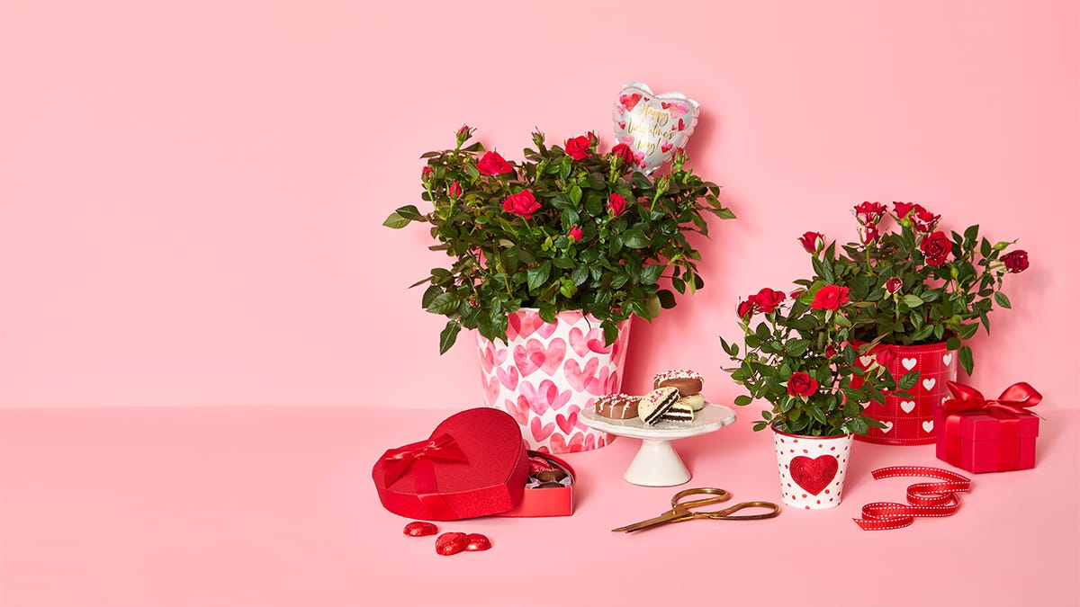 10 regalos únicos del día de San Valentín de 1-800 flores para todos los que aman