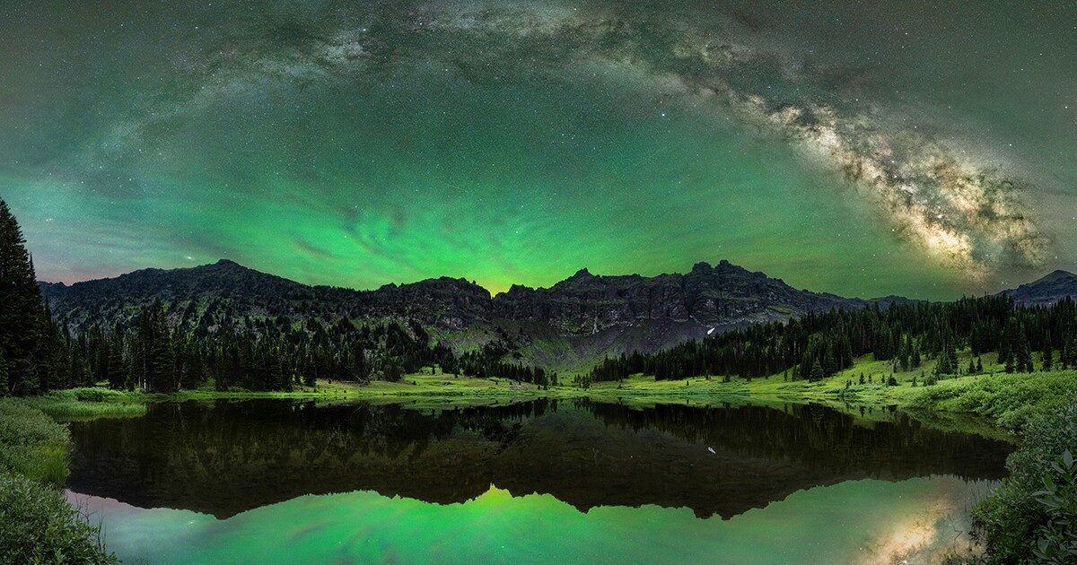 Los ganadores de los Premios de la Fotografía de la Naturaleza Mundial de 2025 son aturdidores absolutos