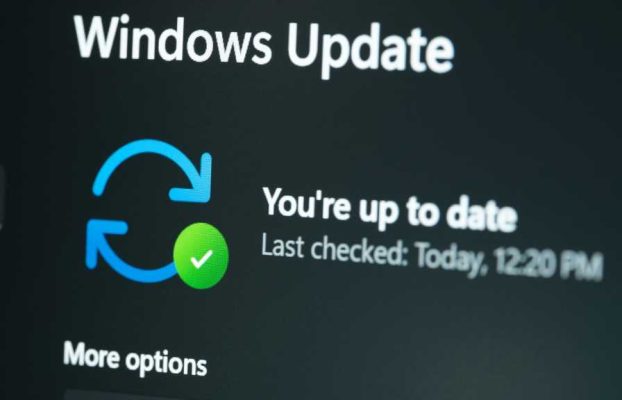 Más problemas de Patch Windows 11, esta vez con punteros del mouse actuando