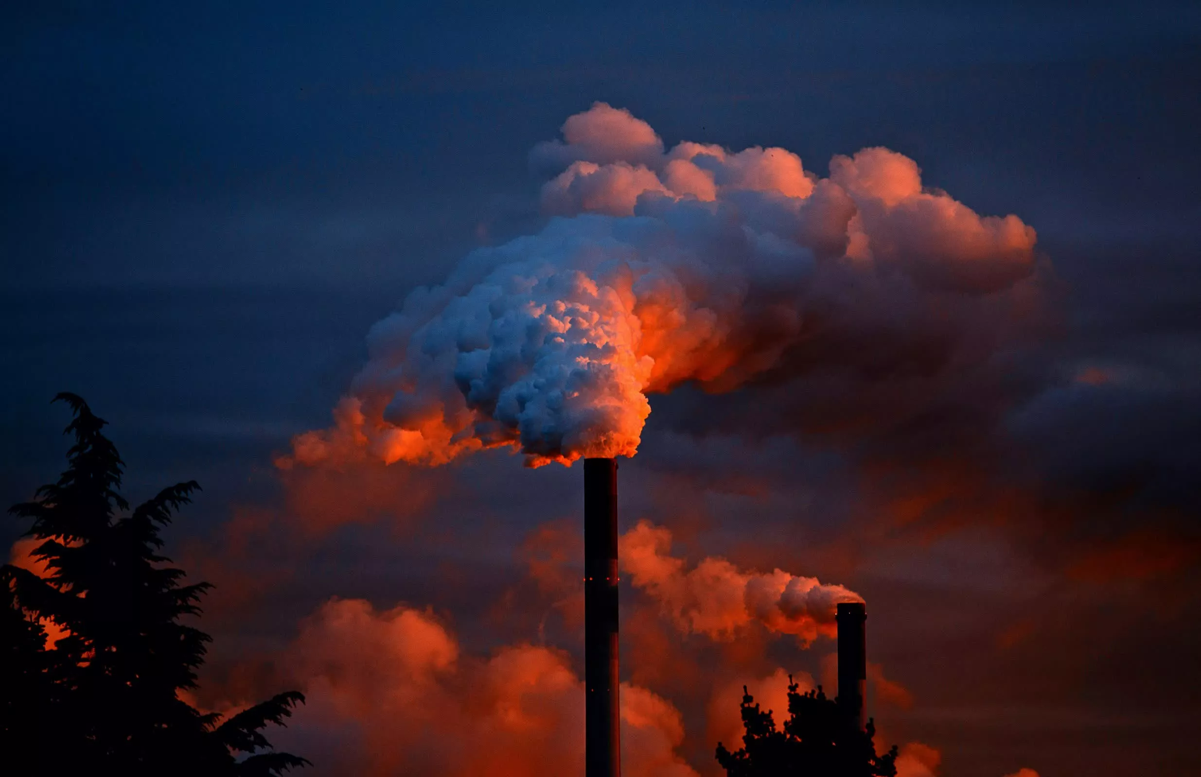 Solo 36 empresas representan el 50% de las emisiones globales de CO2, revela el informe