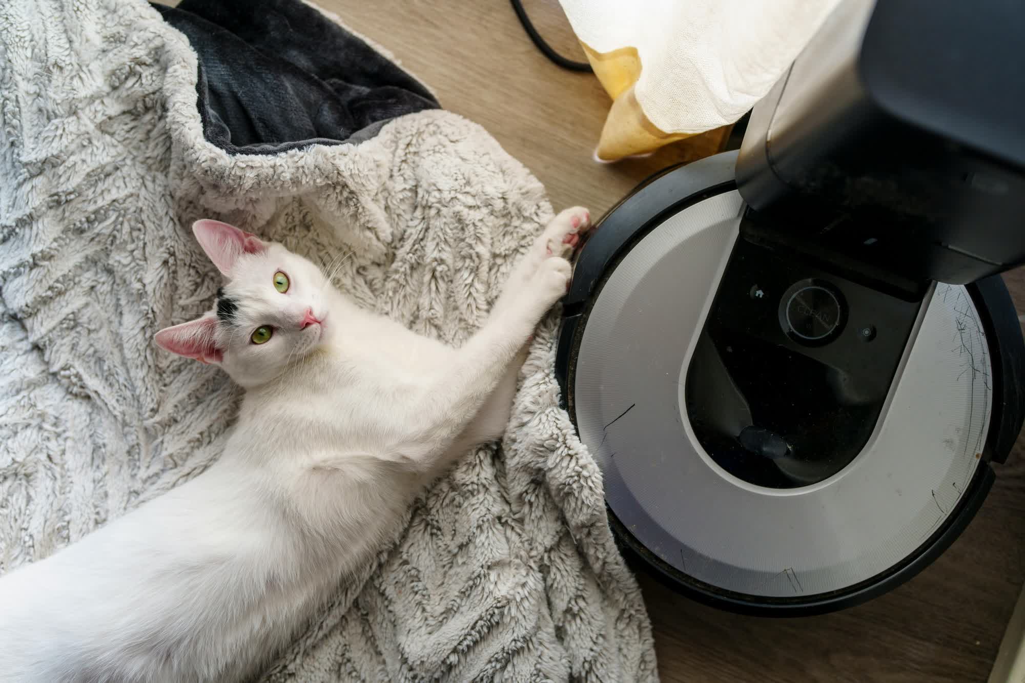 El fabricante de habitaciones Irobot duda de que puede sobrevivir los próximos 12 meses