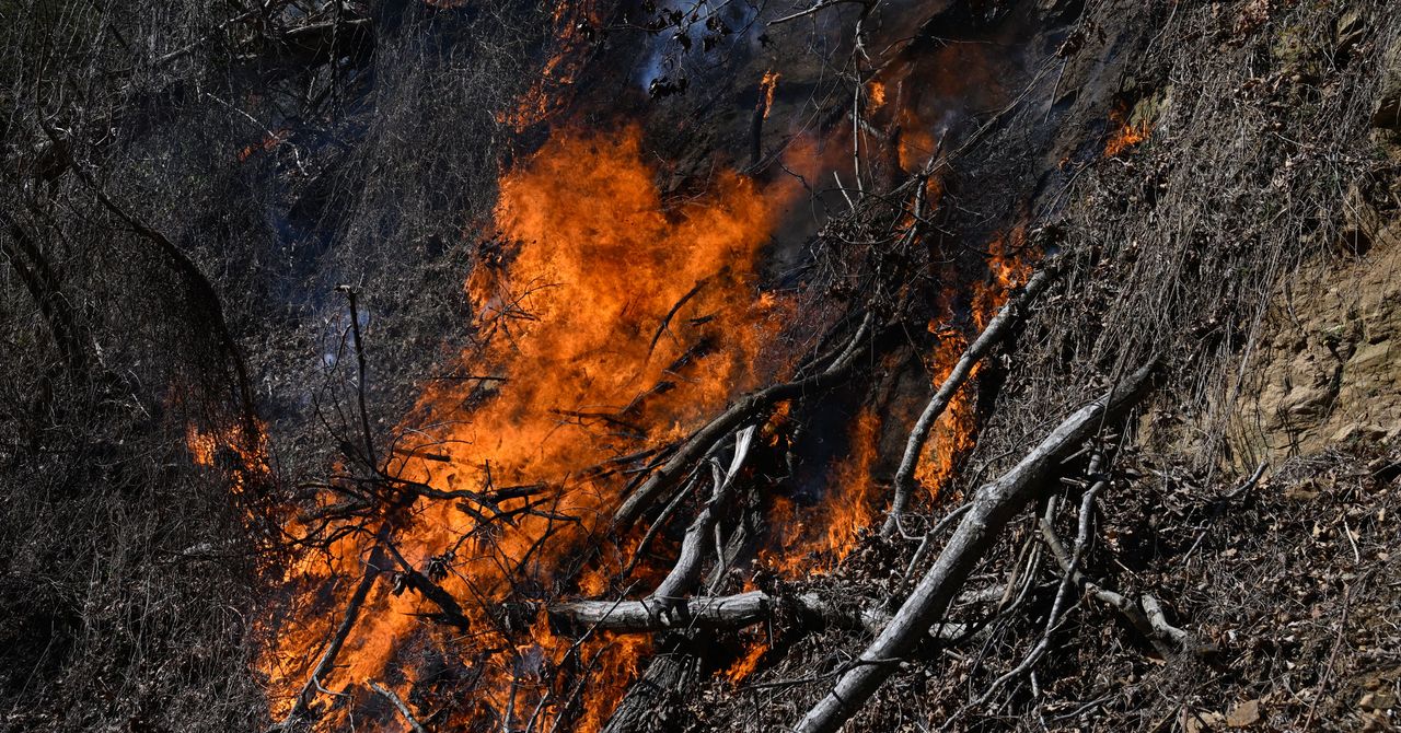 Las condiciones climáticas extremas que impulsaron los incendios forestales de Carolina